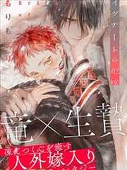 标本封面